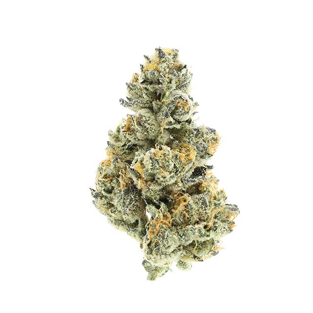 FLORIDA ORANGES - EIGHTH