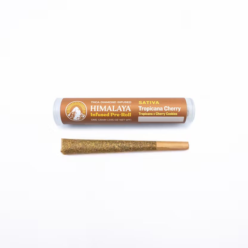 TROPICANA CHERRY DIAMOND INFUSED PREROLL - GRAM
