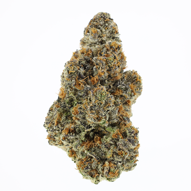 LEMON TREE - EIGHTH