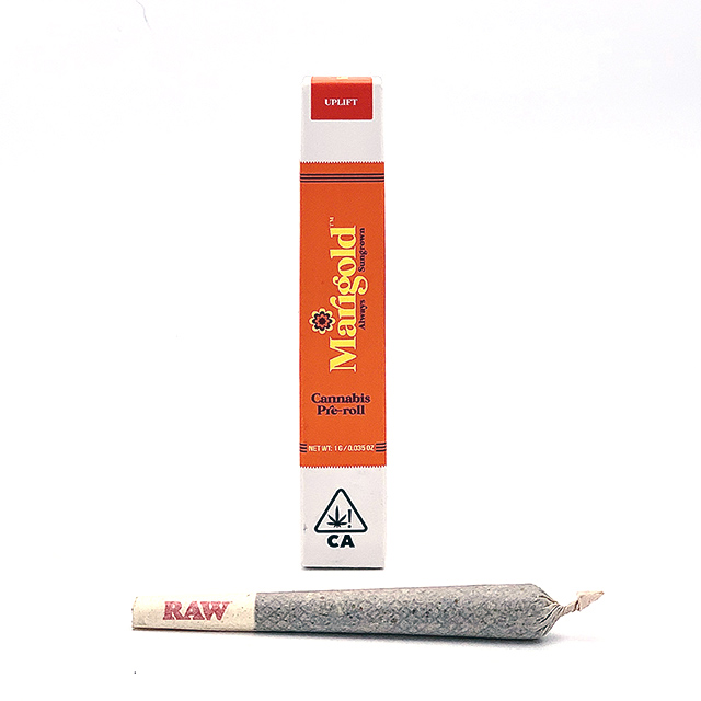 MARIGOLD — KEY LIME JACK PREROLL - SINGLE