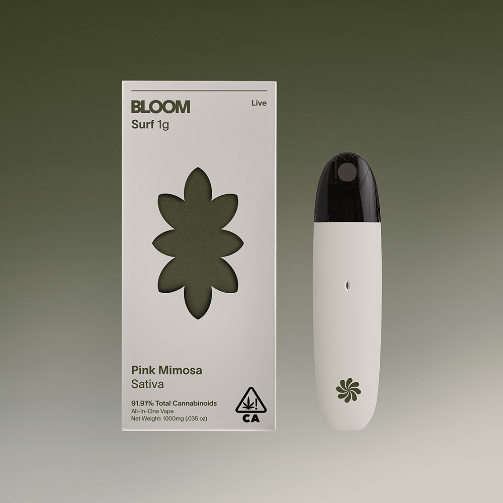BLOOM: Pink Mimosa Surf - Gram