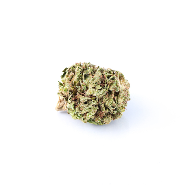 BIODYNAMIC ROLLINS - EIGHTH