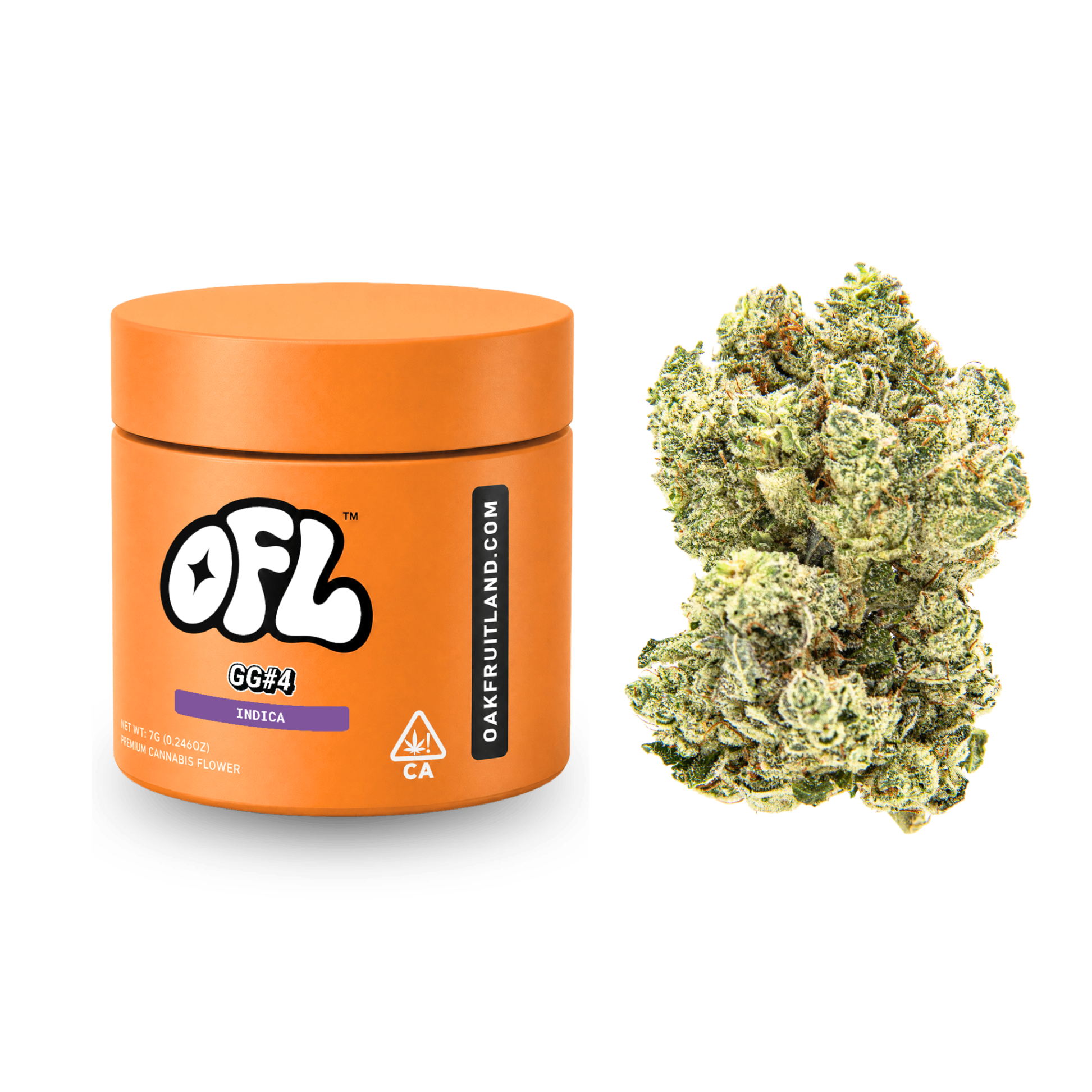Oakfruitland: Gg#4