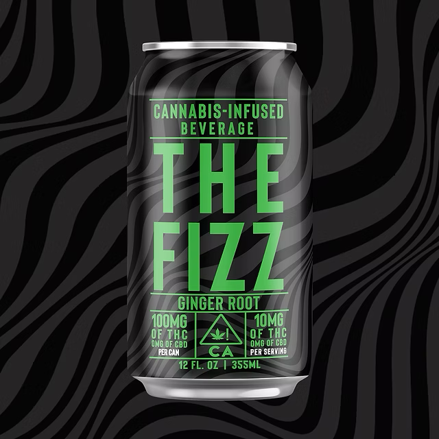 THE FIZZ GINGER ROOT - 100MG