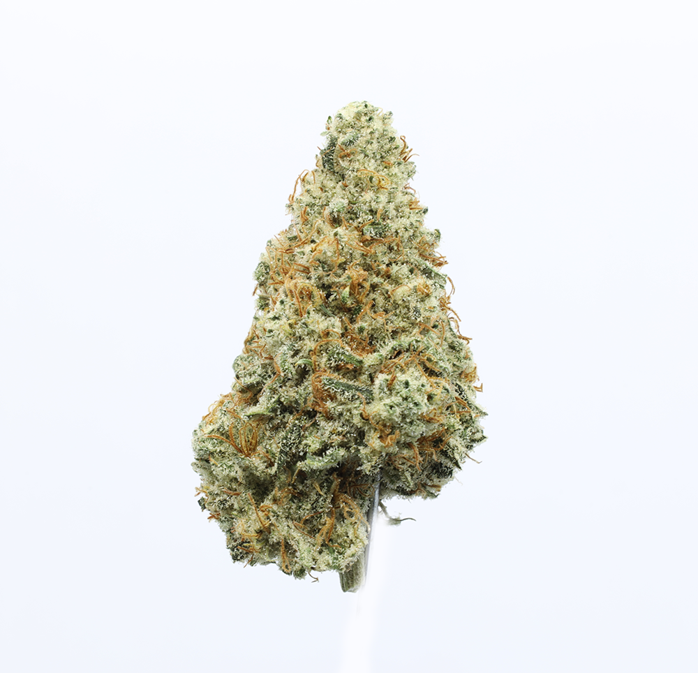 TRAINWRECK - EIGHTH