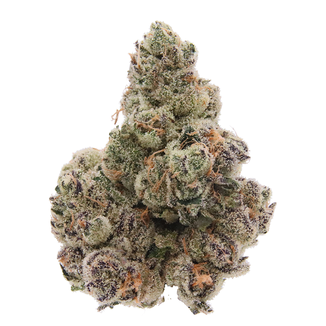 DOUBLE UP - EIGHTH