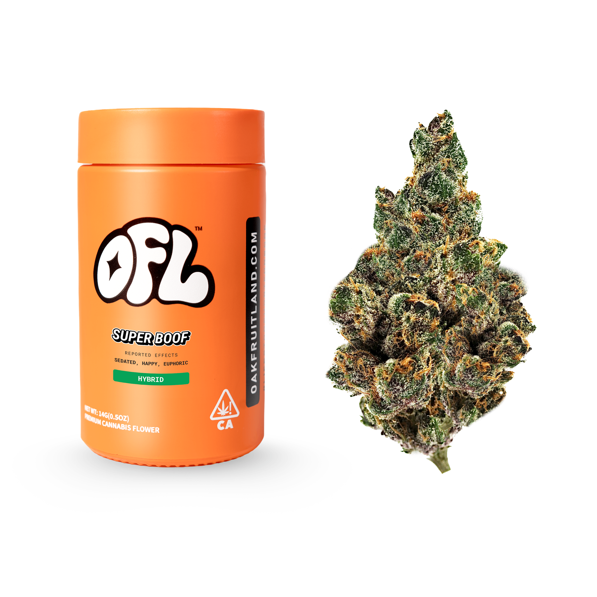 Oakfruitland: Super Boof