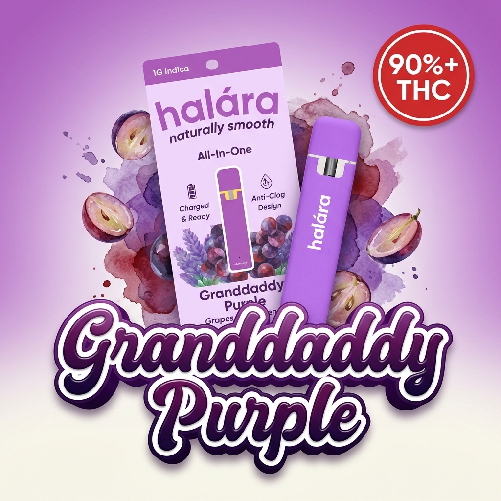 Halara: GRAND DADDY PURPLE ALL-IN-ONE - GRAM