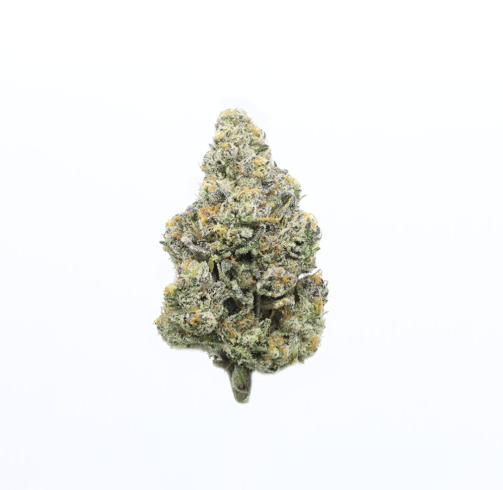 UPNORTH - CHEETAH PISS - EIGHTH