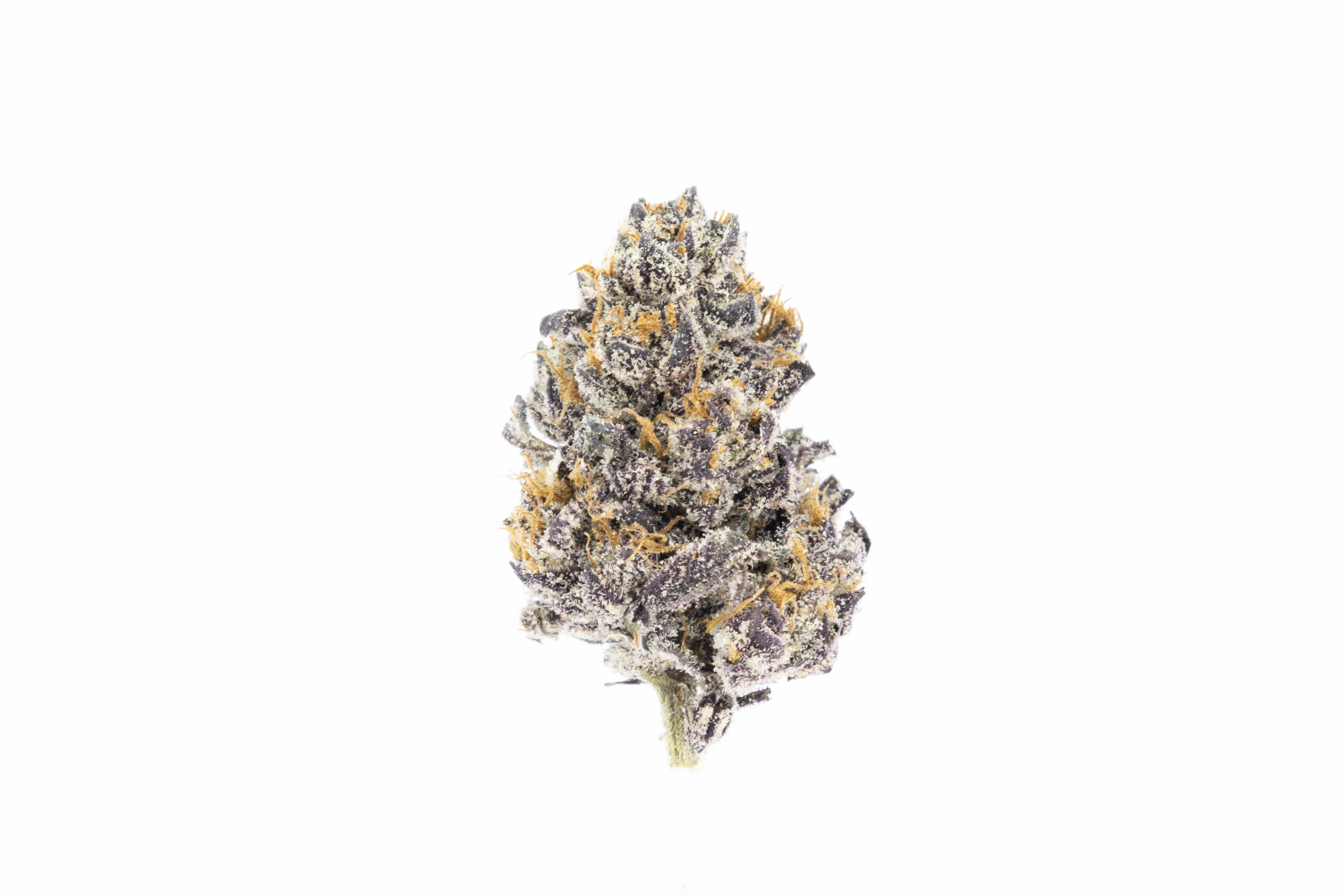 BLACK CHERRY GELATO - EIGHTH
