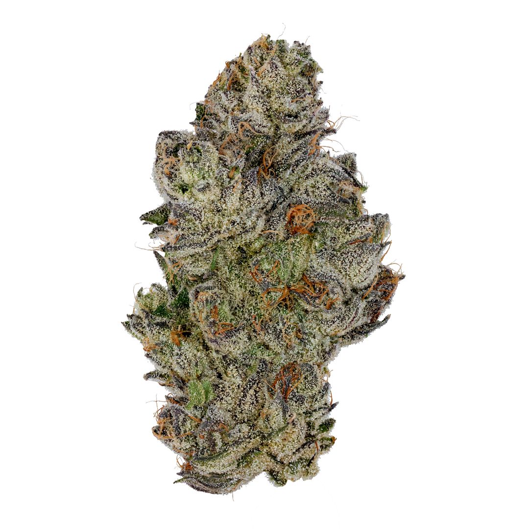 KOALA CRACK - EIGHTH