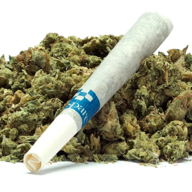 SULTAN OF SUN PREROLL