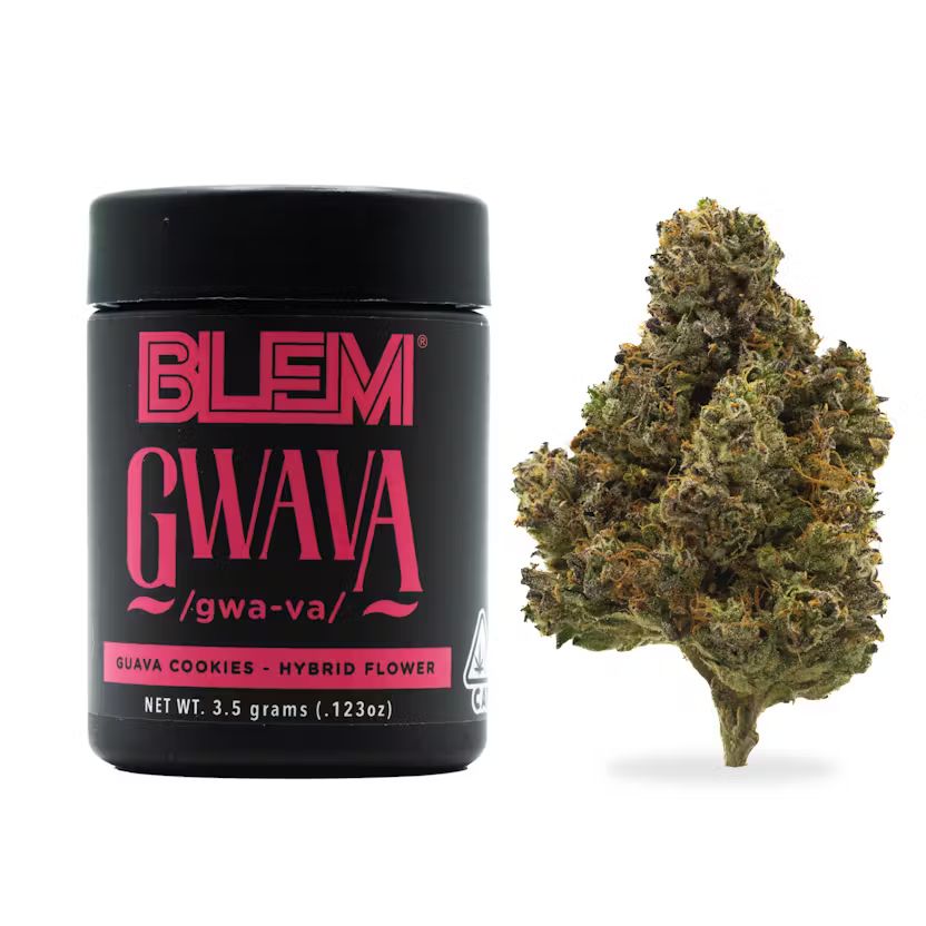 GWAVA - EIGHTH