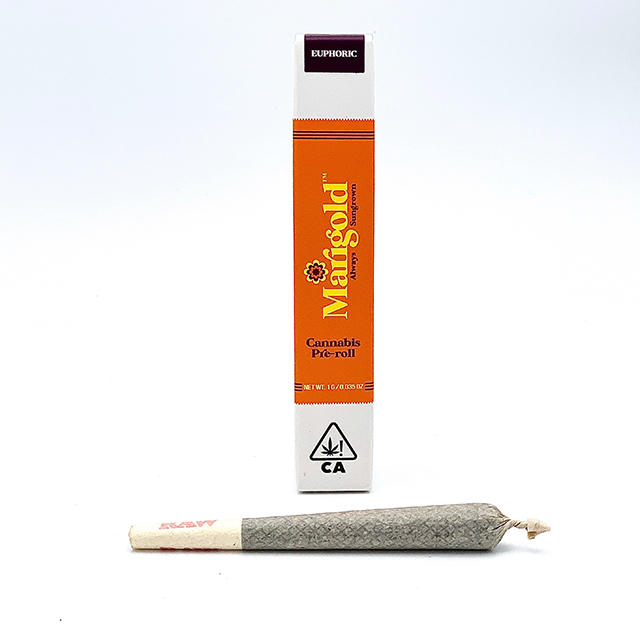 GMO COOKIES GRAM PREROLL - SINGLE