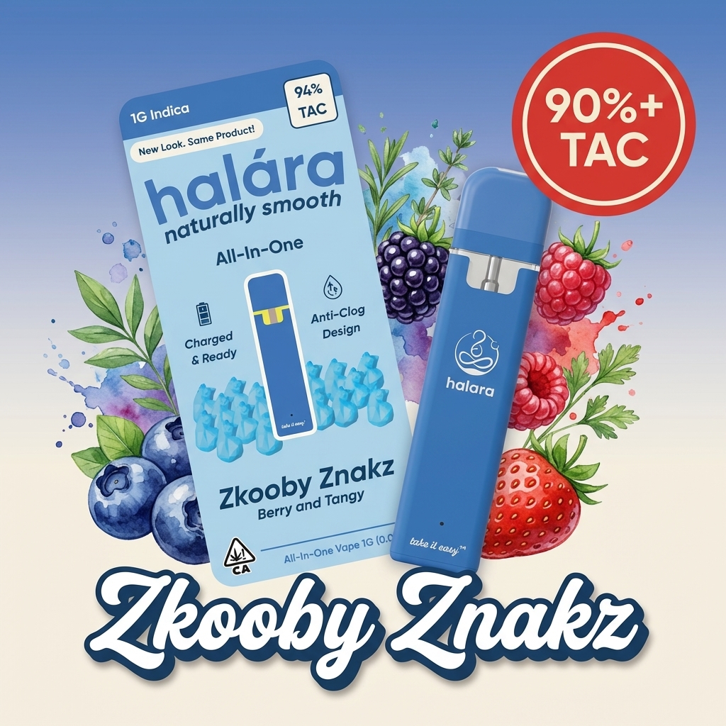 Halara — ZKOOBY ZNAKS ALL-IN-ONE - GRAM