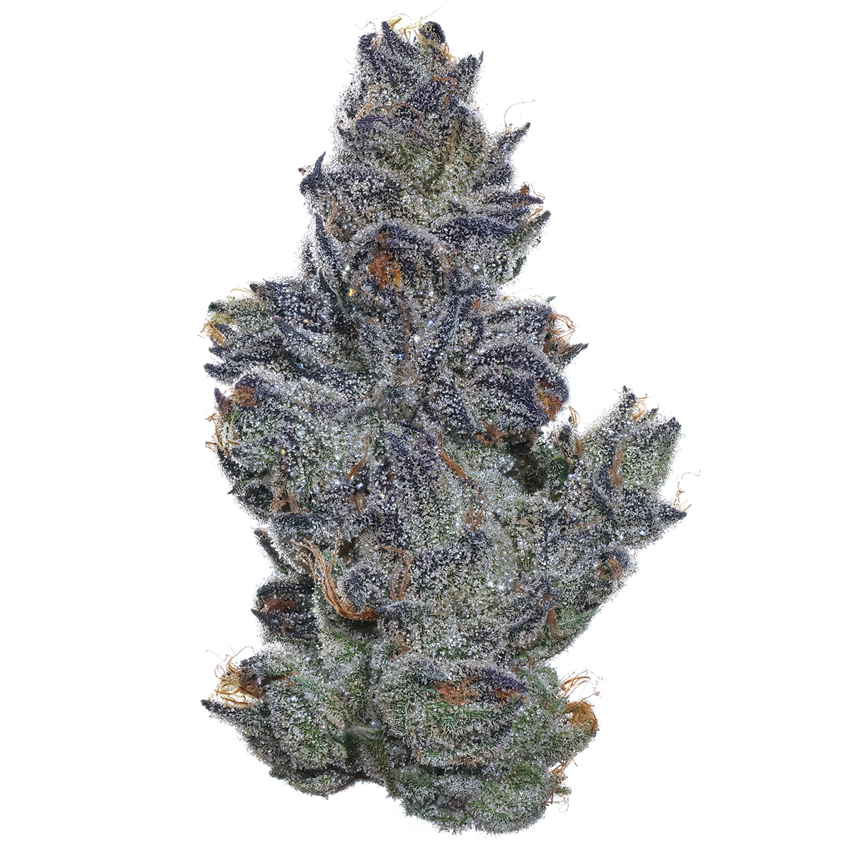 Fig Farms — SOUR CHERRY PIE - EIGHTH
