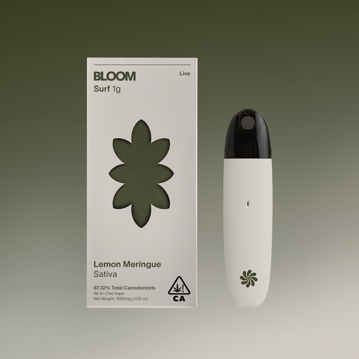 BLOOM: Lemon Meringue Surf - Gram