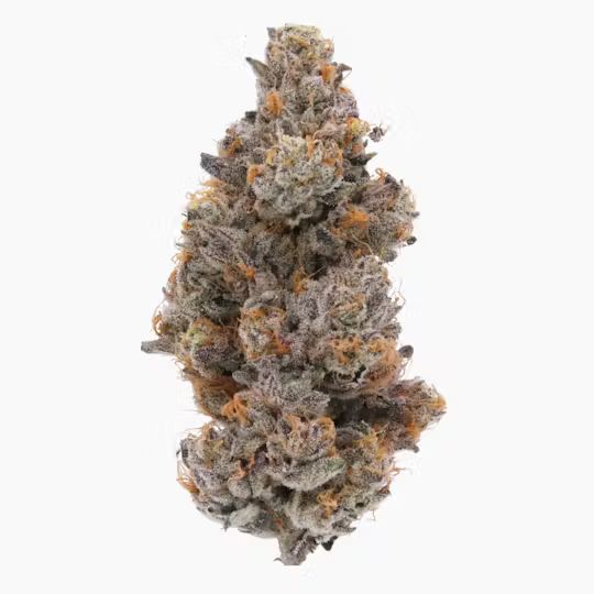 GUAVA BOMBA - EIGHTH