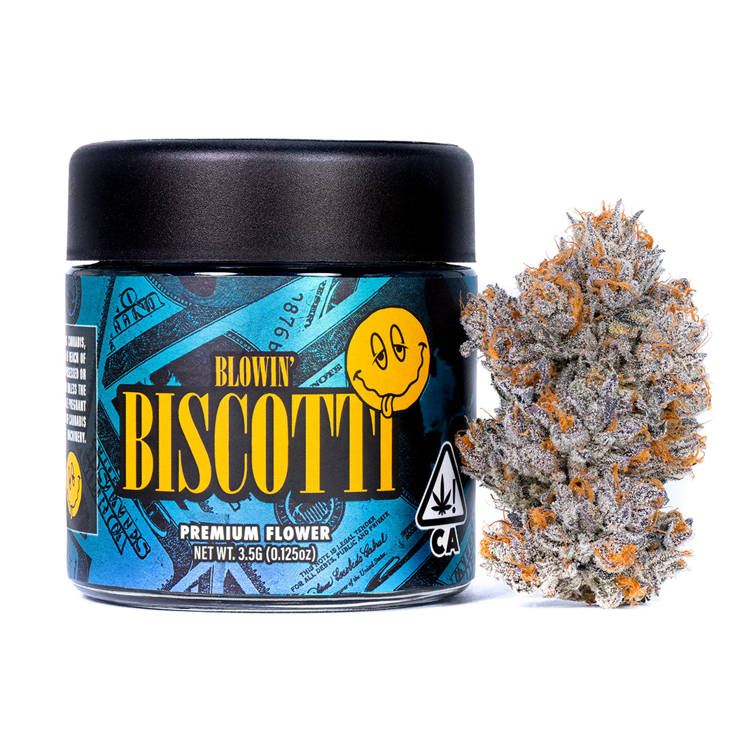 Connected — BISCOTTI - EIGHTH