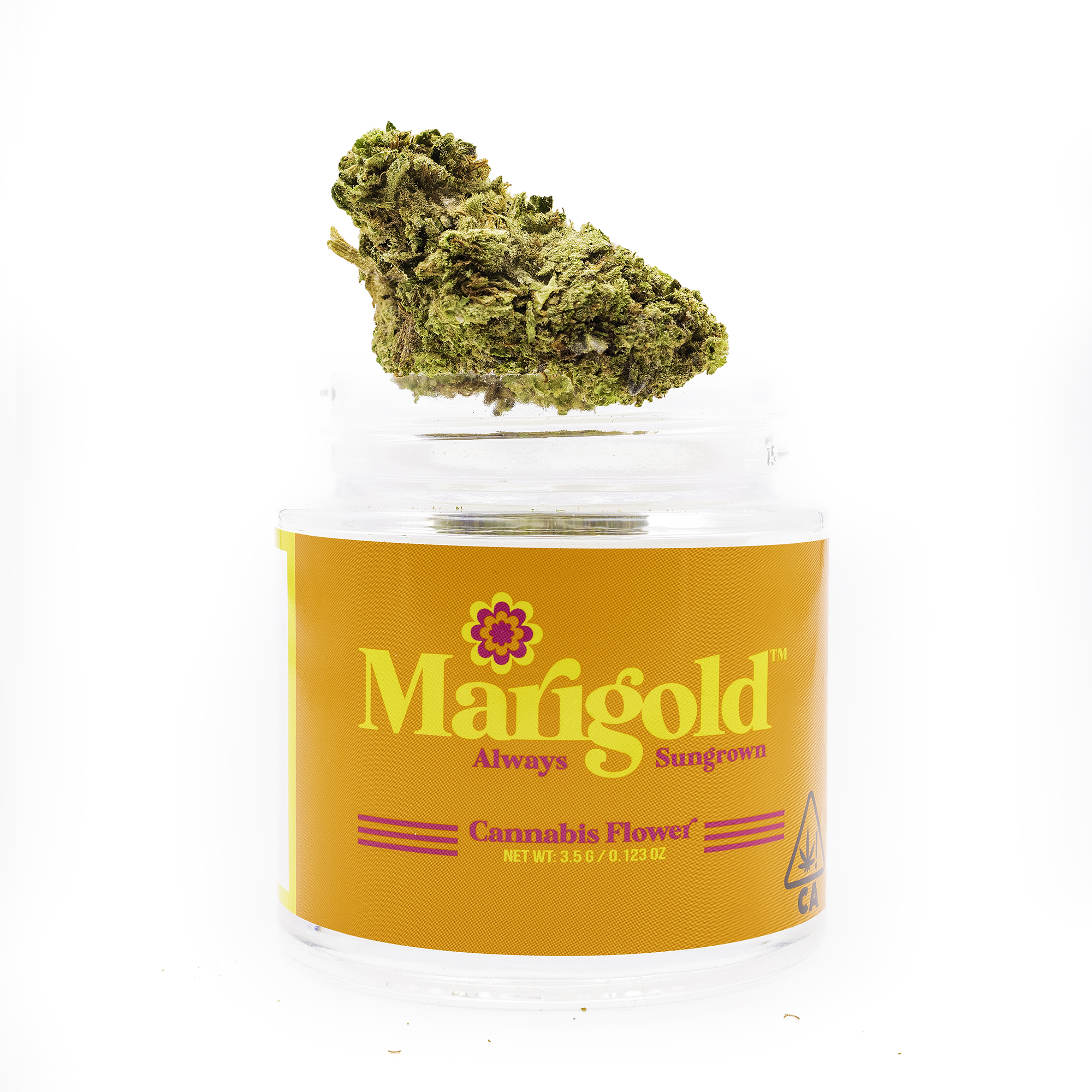 MARIGOLD — KEY LIME JACK - EIGHTH