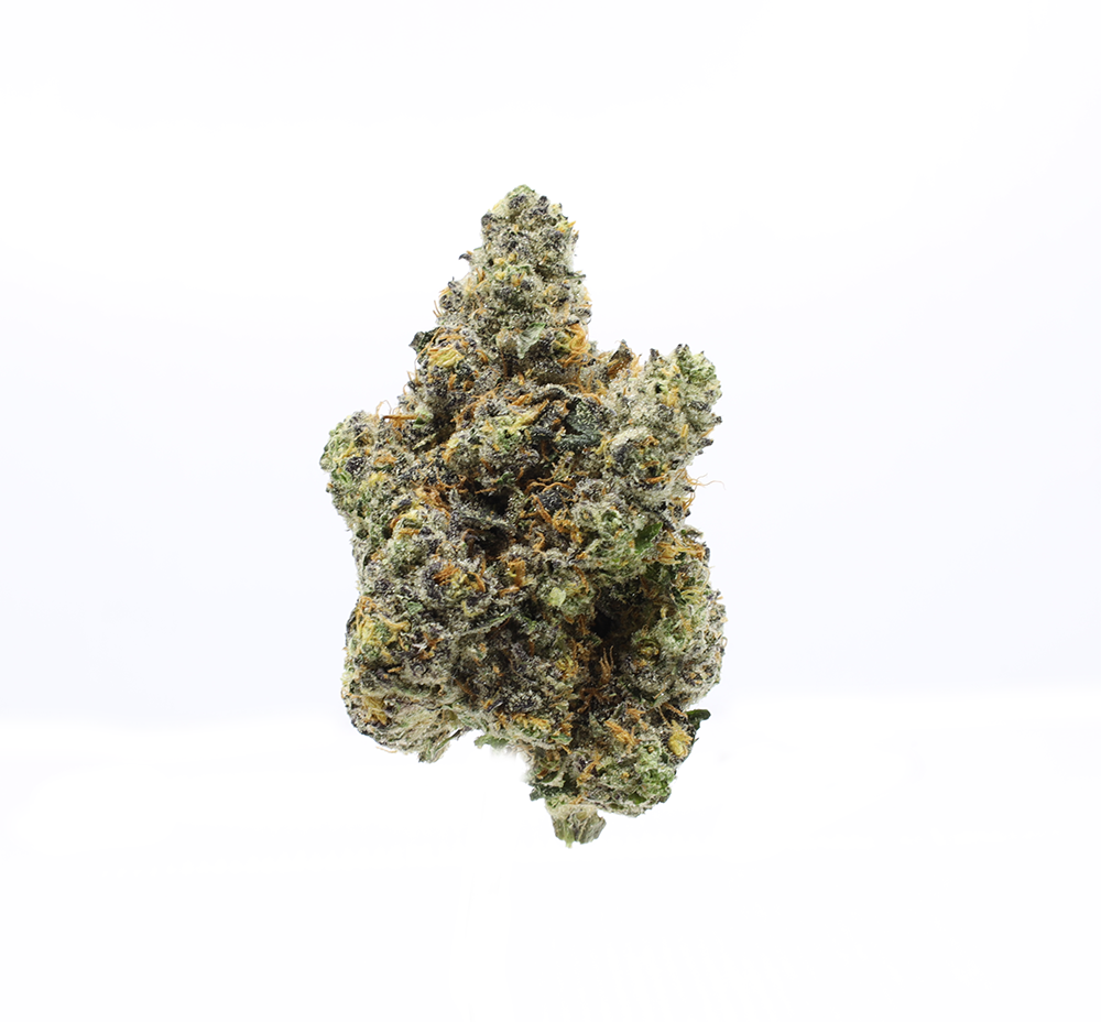 PURPLE THAI - EIGHTH
