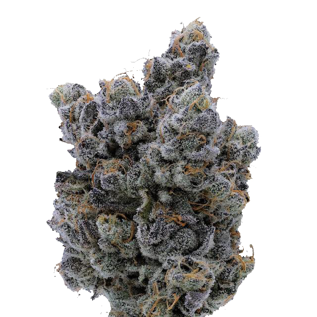 Fig Farms: Moonana Wreck