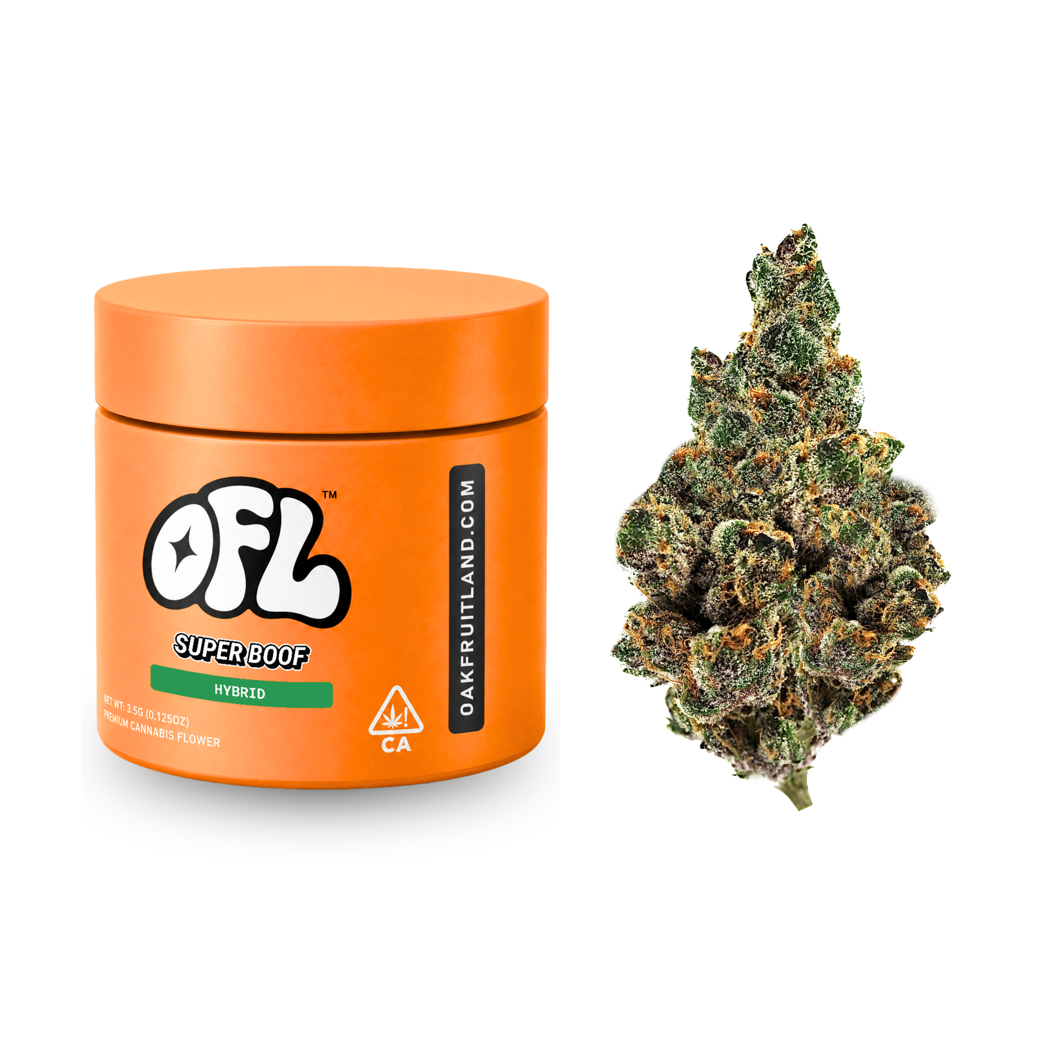 Oakfruitland: Super Boof