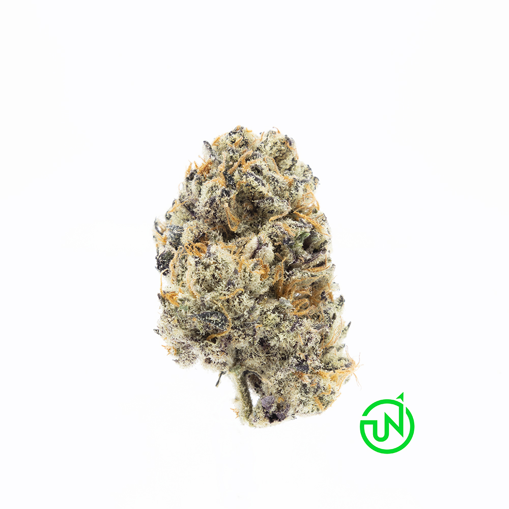 ROMULAN - EIGHTH