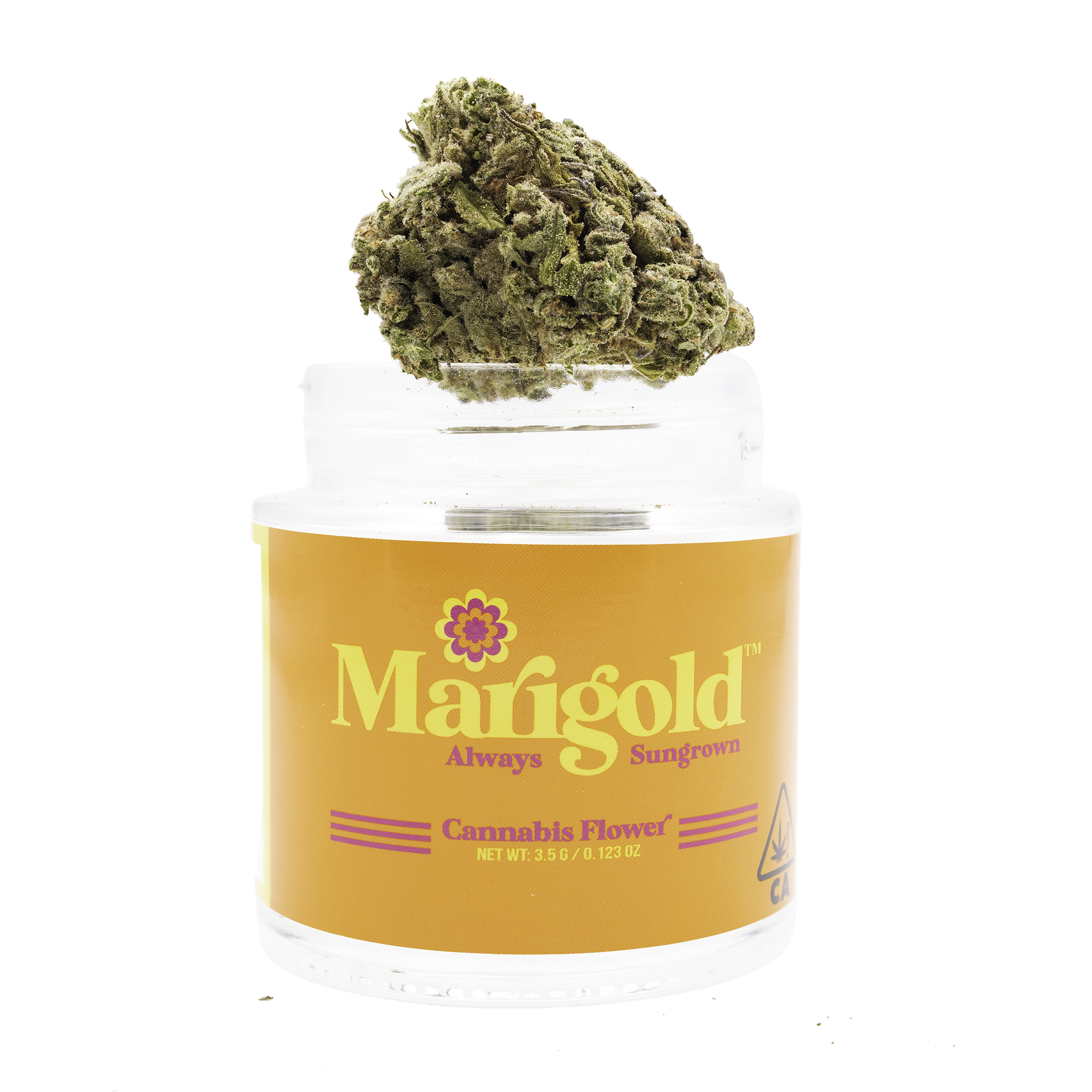 MARIGOLD — BLUEBERRY PUNCH - EIGHTH