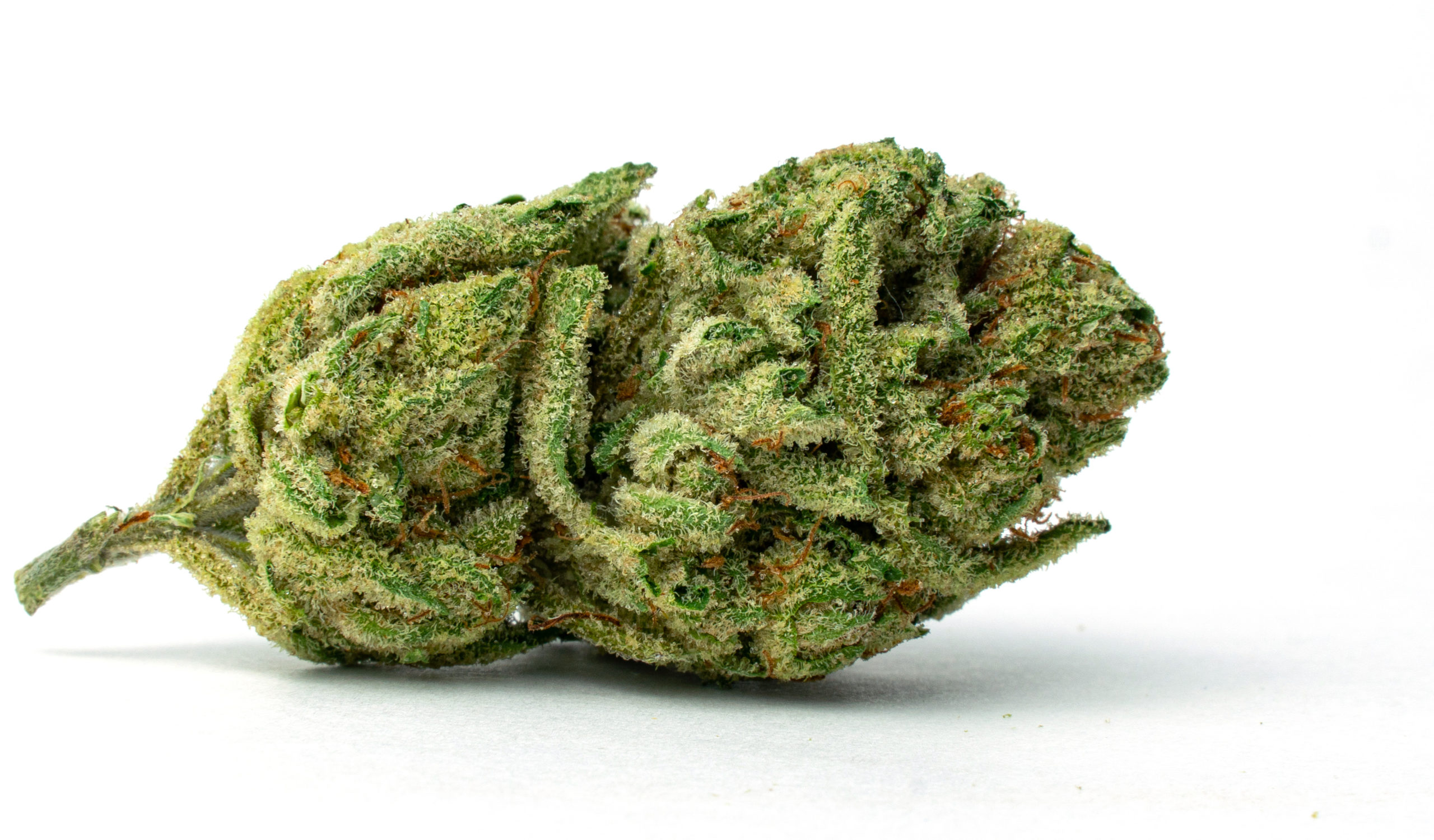 SUPER SILVER HAZE - GRAM