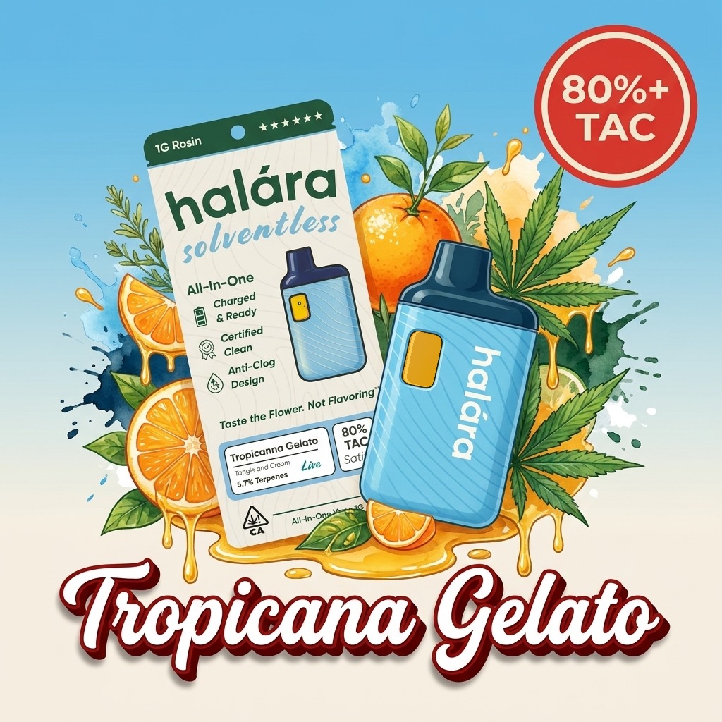 Halara: Tropicanna Gelato - Gram