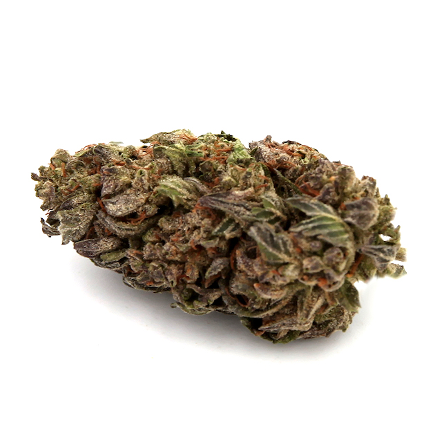 BIODYNAMIC GMO COOKIES - EIGHTH