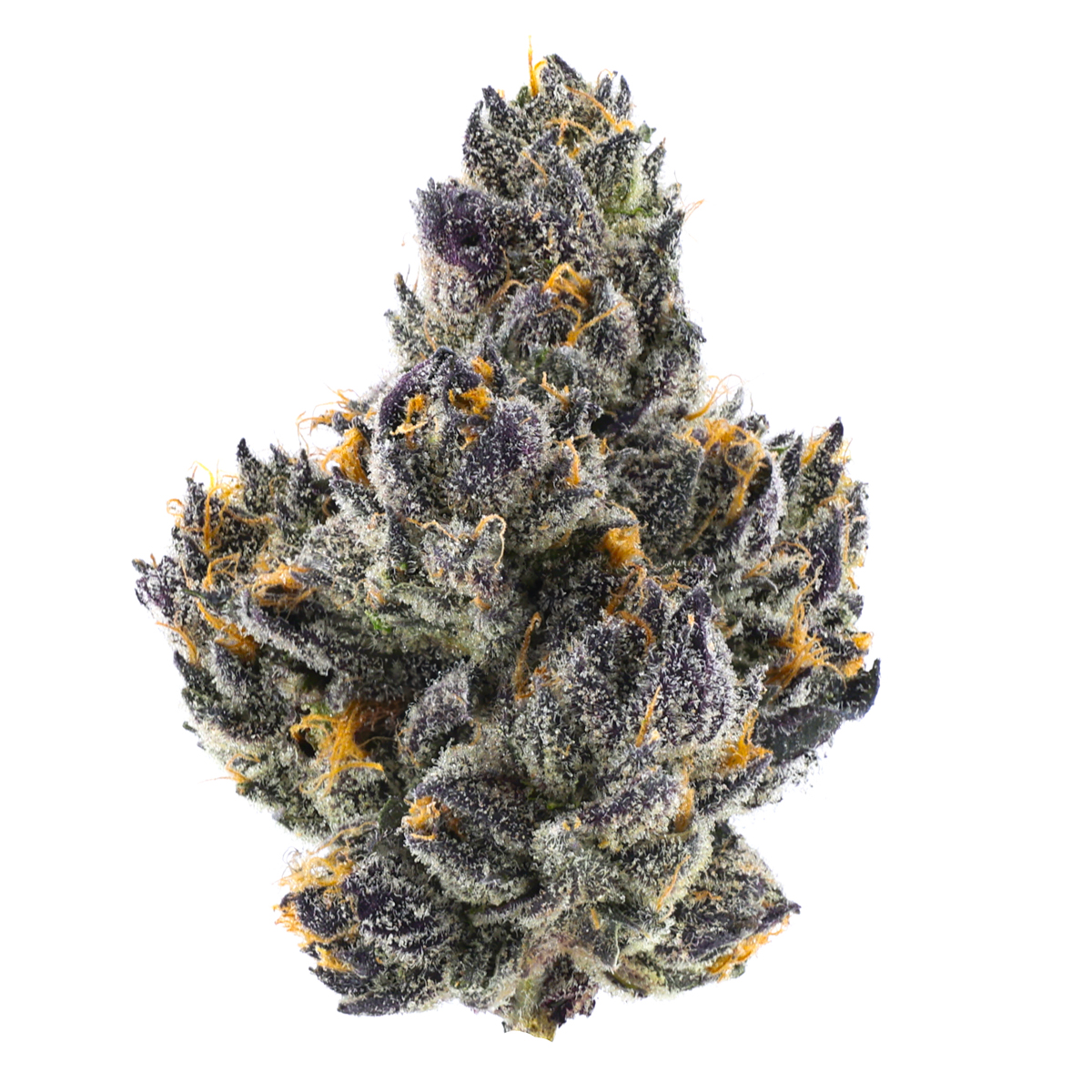 Fig Farms — CHERRY MARTINELLI - EIGHTH