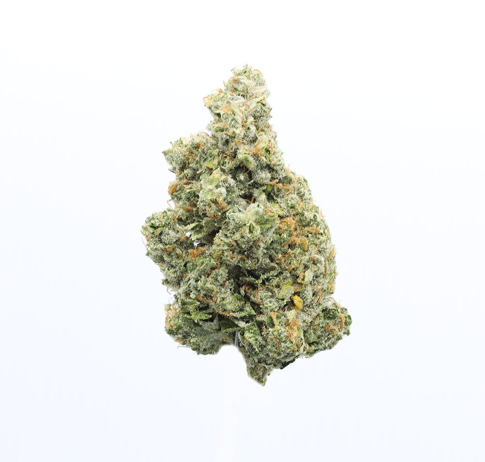 NYC DIESEL - EIGHTH