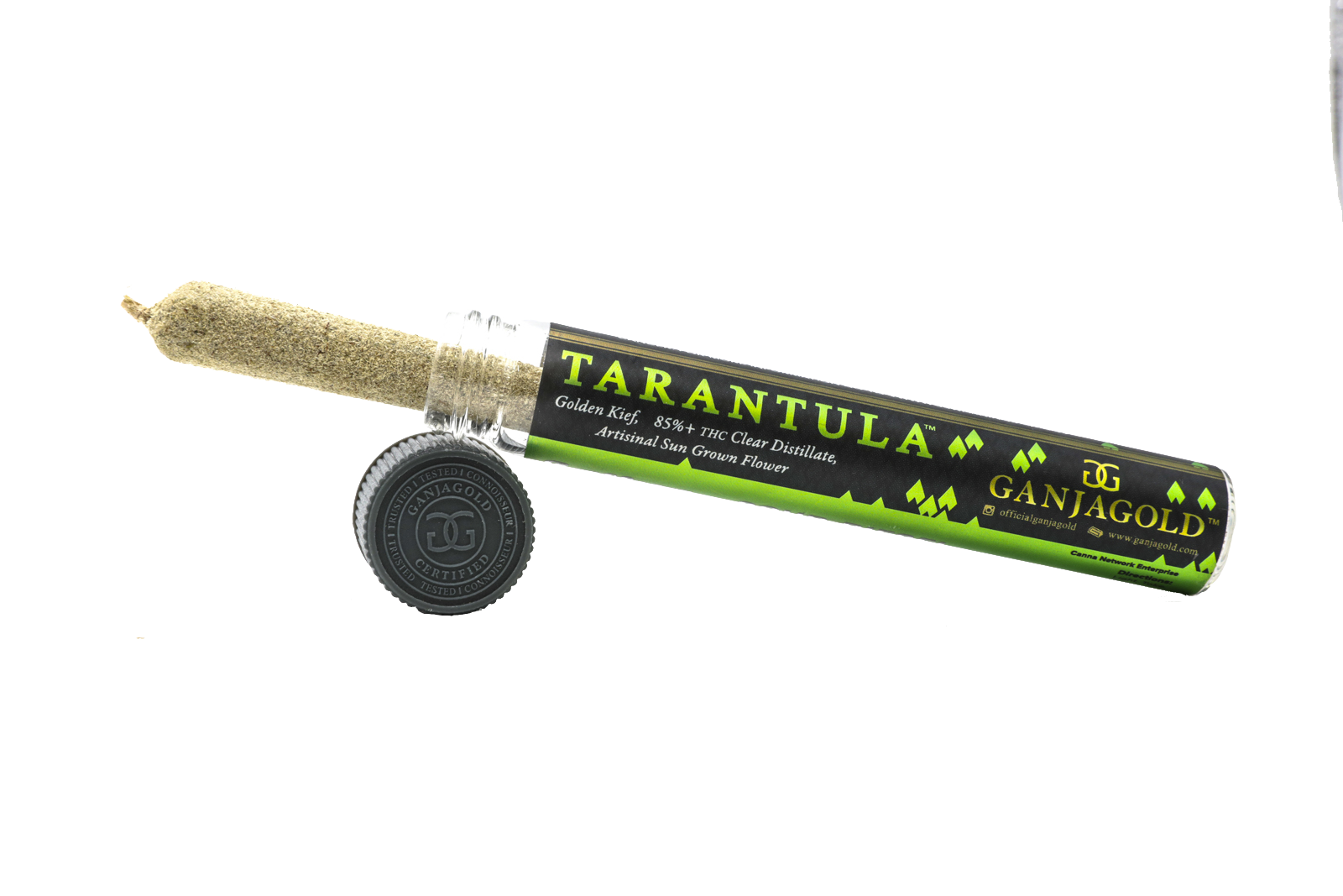 ORANGE DURBAN GREEN TARANTULA - SINGLE