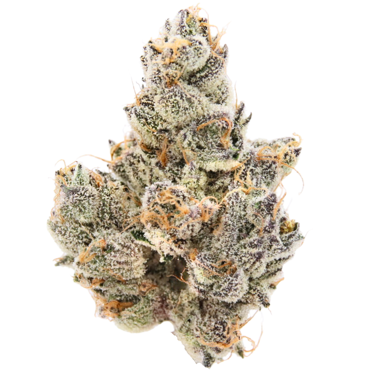 ISLAND SWEET SKUNK - EIGHTH