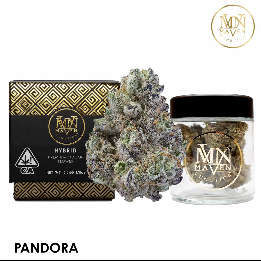 PANDORA - EIGHTH