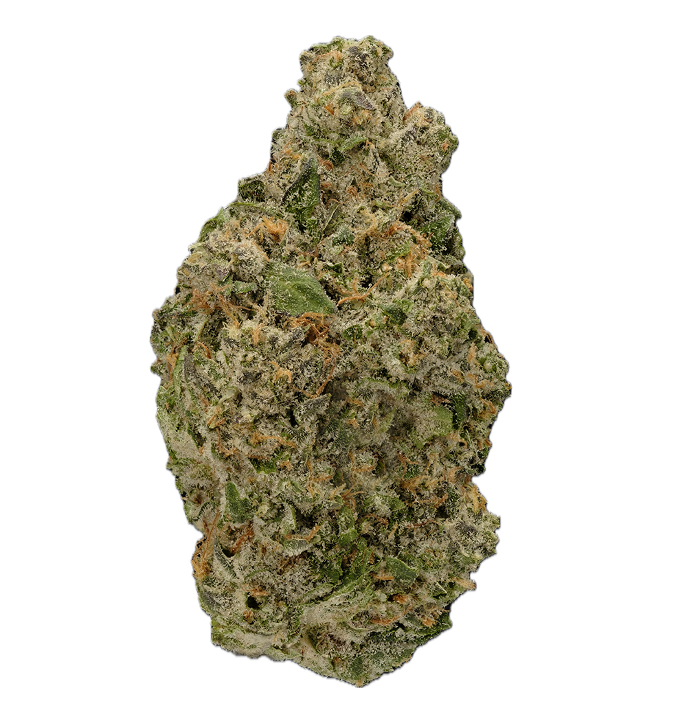 PLATINUM ORANGE - EIGHTH