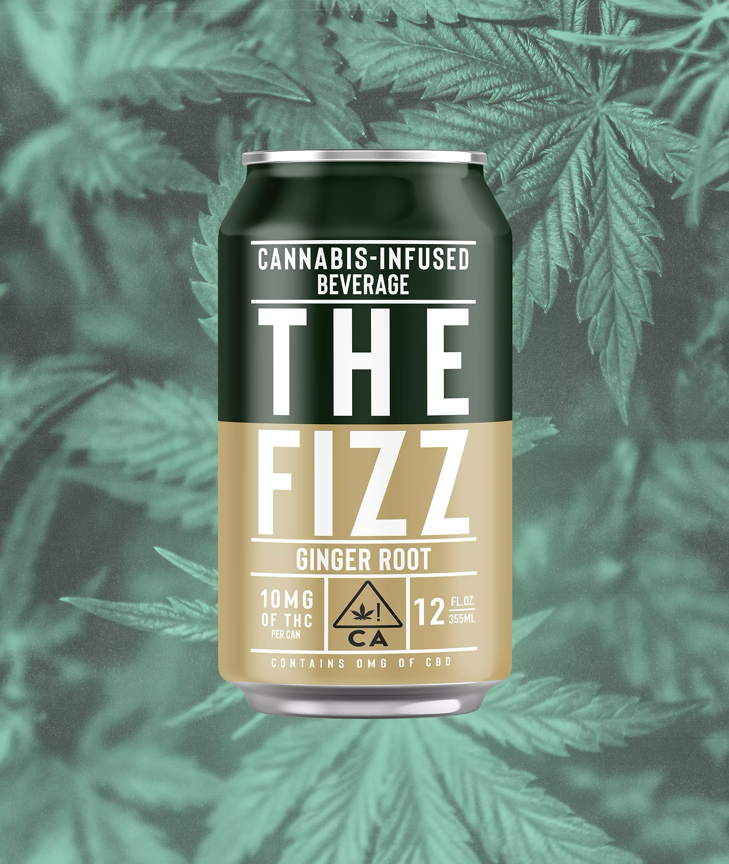 THE FIZZ GINGER ROOT - 10MG