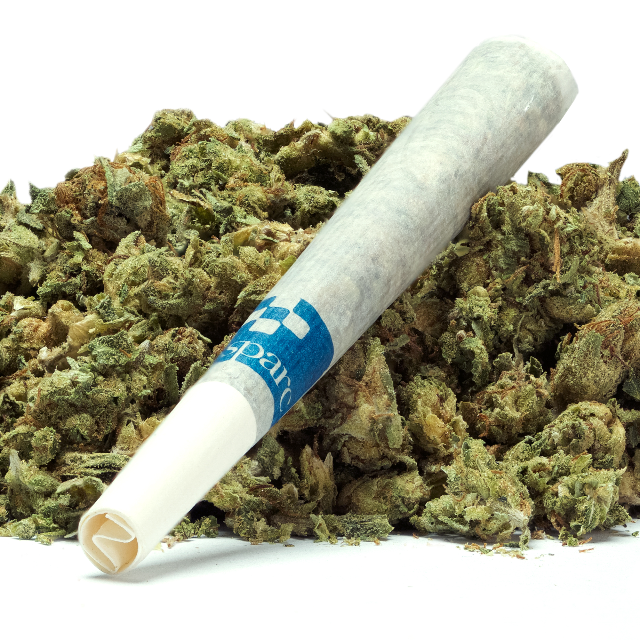 BIODYNAMIC BLACK LIGHTS PREROLL