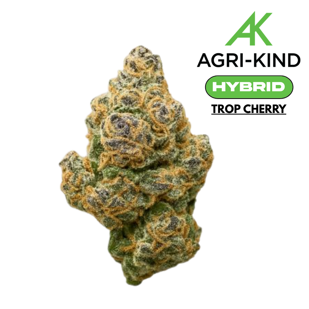 TROP CHERRY | 3.5G FLOWER | HYBRID - 1/8oz in Rockaway
