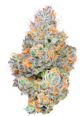  Connected Tropical Z 3.5g