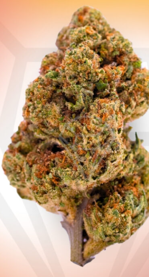  Cali Creamery Red velvet 3.5 g