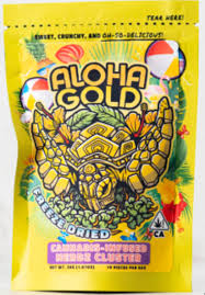 Hawaiian Gushers - 100 mg