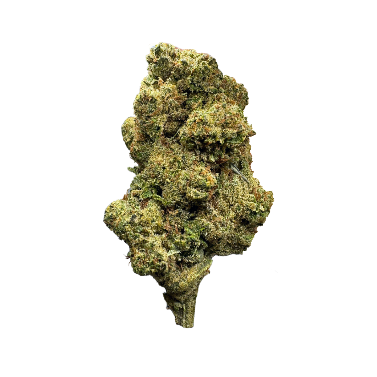 SOUR G 3.5G JAR