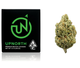 Up North Headband 1/8