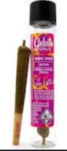 Gelato Mowie wowie 1.2g Infused preroll