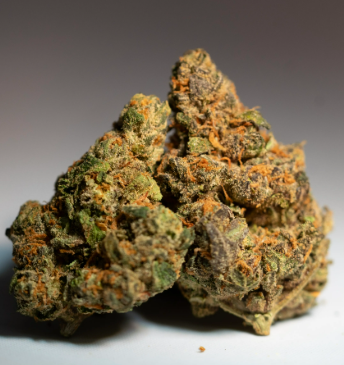 Solis Zorro Runtz 28g