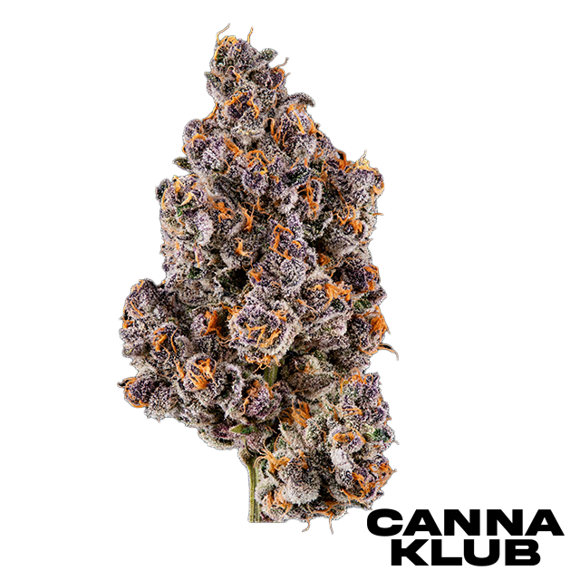FLORIDA PUNCH 3.5G - 3.5g in Rose City