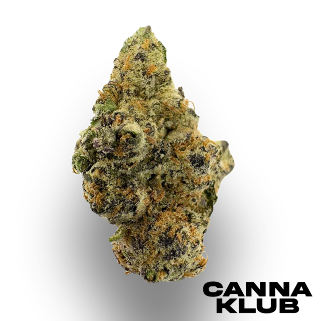 GRAPE GAS 3.5G - 3.5g in Wolverine